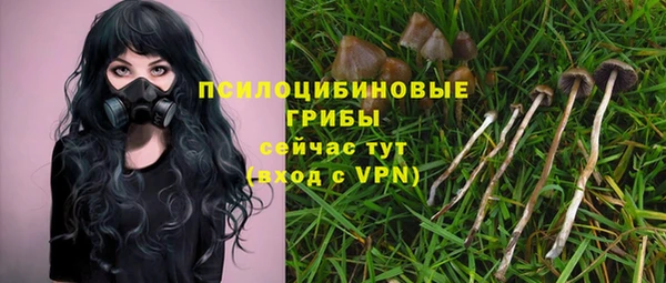 бошки Абдулино